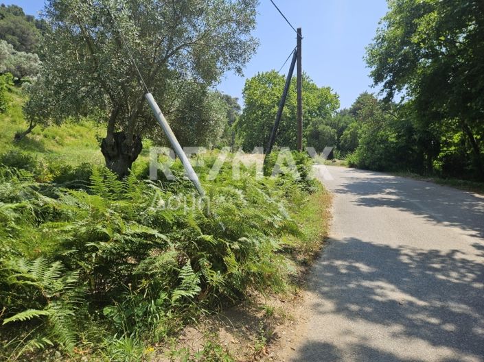 Image No.6-Propriété à vendre à Skiathos