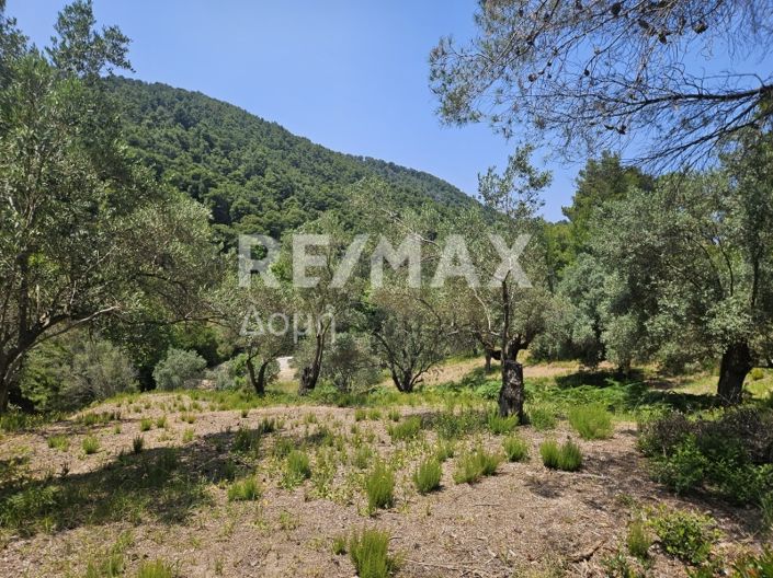 Image No.8-Propriété à vendre à Skiathos