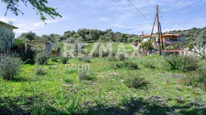 Image No.11-Property for sale