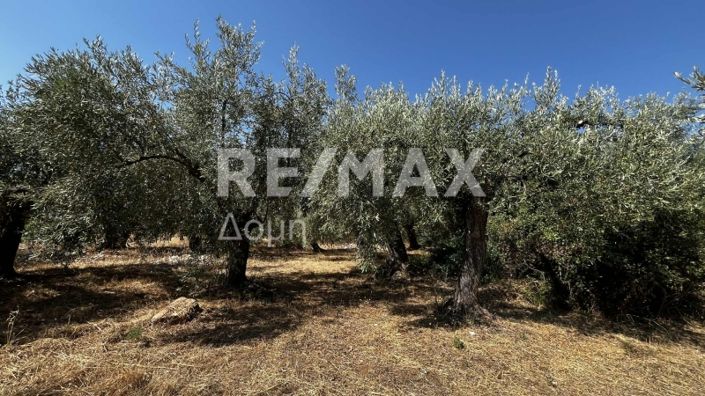 Image No.2-Property for sale