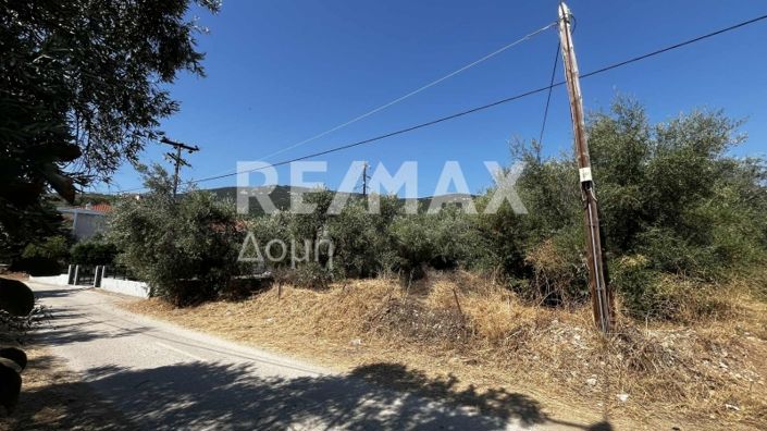 Image No.4-Property for sale