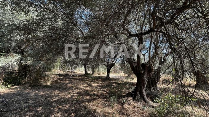 Image No.5-Property for sale