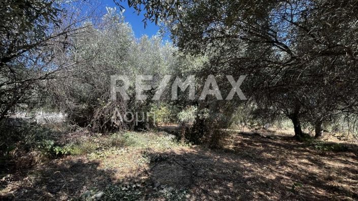 Image No.8-Property for sale