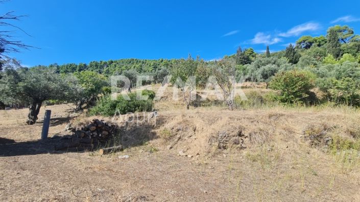 Image No.3-Propriété à vendre à Chora