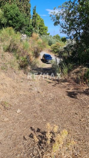 Image No.6-Propriété à vendre à Chora