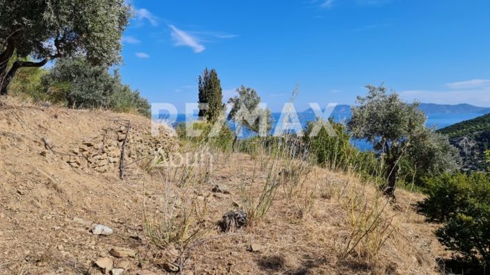 Image No.7-Propriété à vendre à Chora