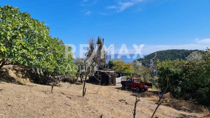 Image No.9-Propriété à vendre à Chora