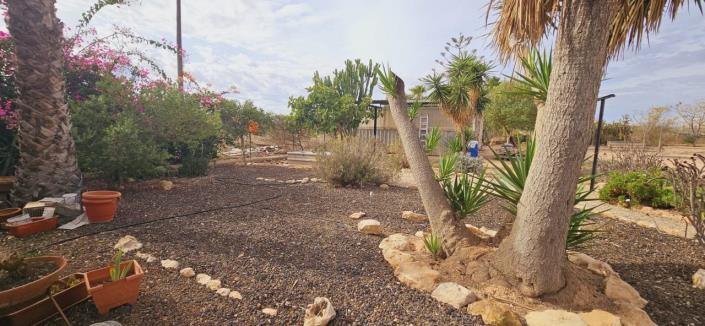 Image No.4-3 Bed Finca for sale