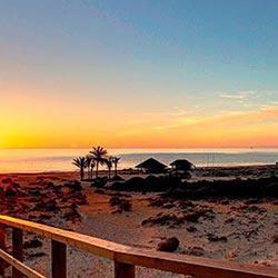 Image No.18-Appartement de 3 chambres à vendre à Alicante City