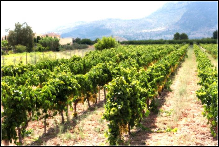 Image No.9-Appartement de 3 chambres à vendre à Alicante City