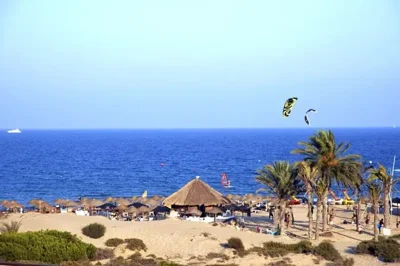 elche-beaches-copy-1