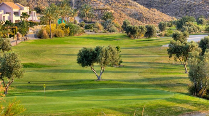 Image No.20-3 Bed Apartment for sale