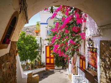 img20180725115838-1024x768-1