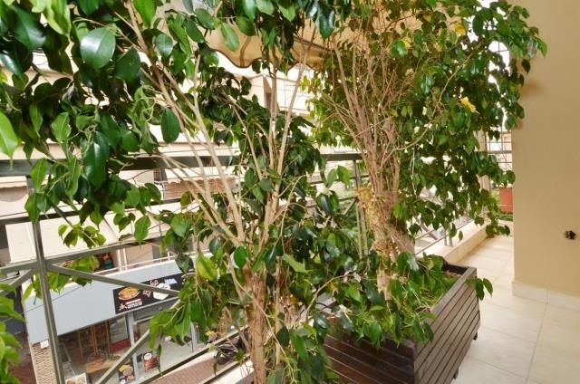 Image No.17-Penthouse de 3 chambres à vendre à Dafni