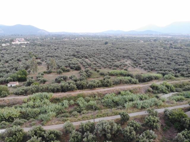 Image No.13-2 Bed Land for sale