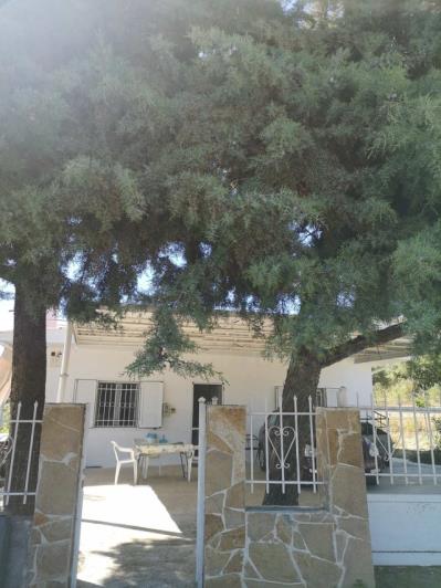 Image No.12-4 Bed Villa / Detached for sale