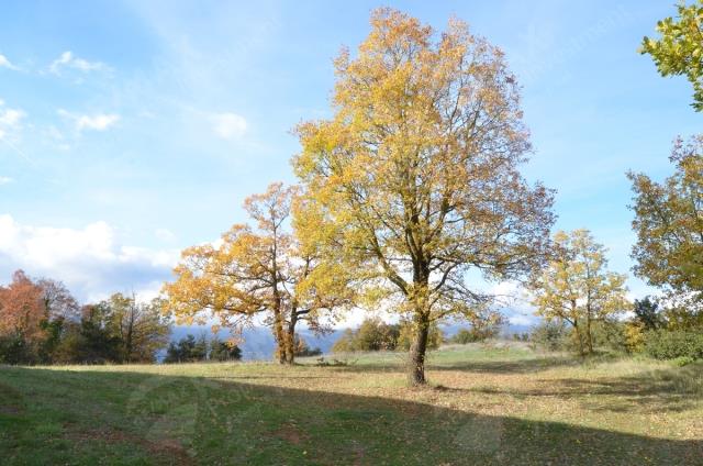 Image No.15-Maisonette de 3 chambres à vendre à Corinthia