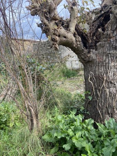 Image No.9-3 Bed Land for sale