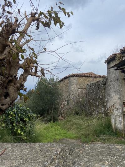 Image No.11-3 Bed Land for sale