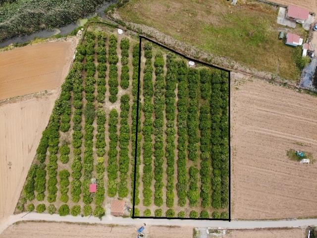 Image No.3-Land for sale