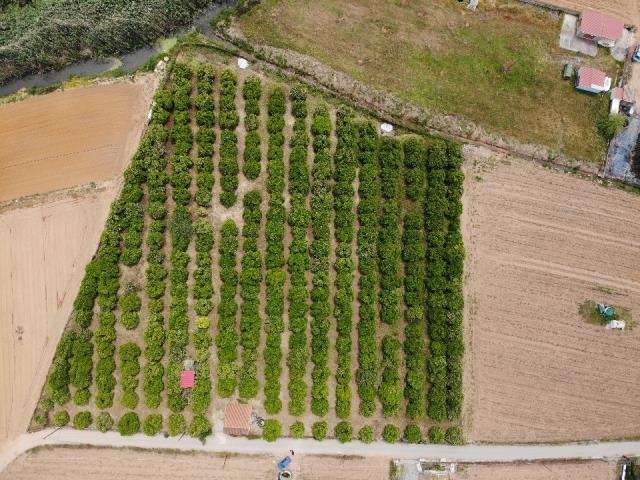 Image No.4-Land for sale