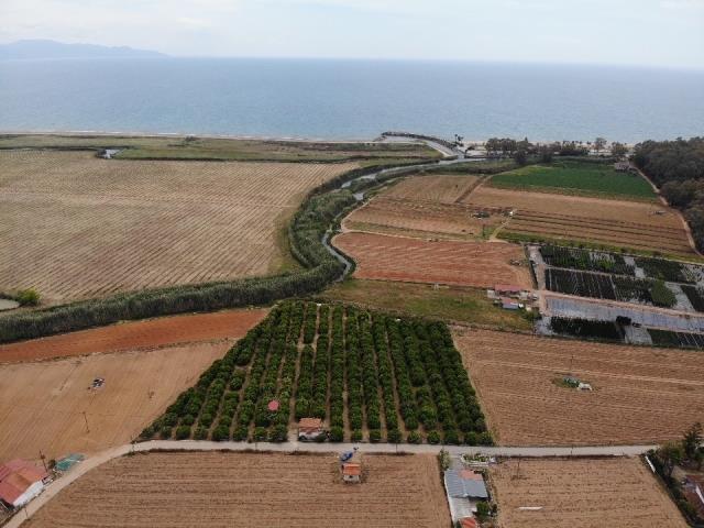 Image No.8-Land for sale