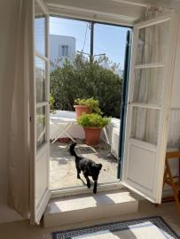 img_1444153a-c12f-4b59-a0b5-e2cbf8338ce0