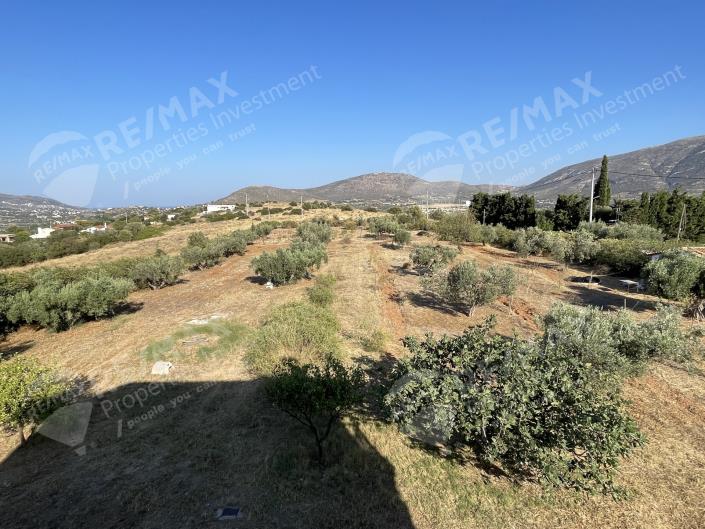 Image No.13-4 Bed House for sale