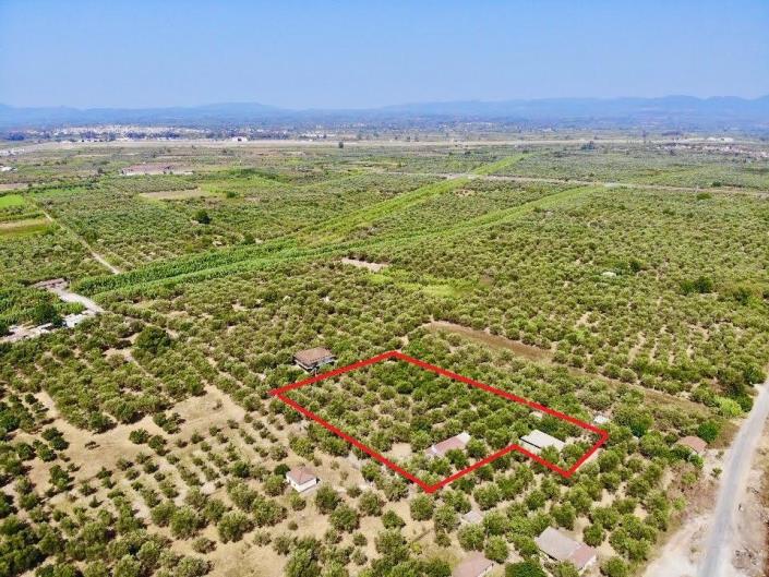 Image No.2-Terre à vendre à Messinia