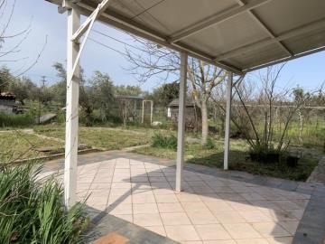 img_8d865739-ab7e-46ce-a07f-b921ef7a1d12------------