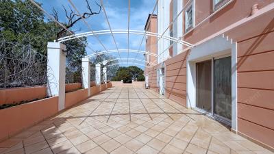 2caa0a44fb114759be66f909da247a7d