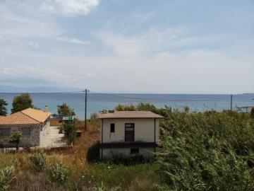 img_6629cda2-09b9-4ee6-868b-50676fb4b31e