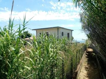 img_a526a4f5-3857-497c-8e9b-6c53ce34998f