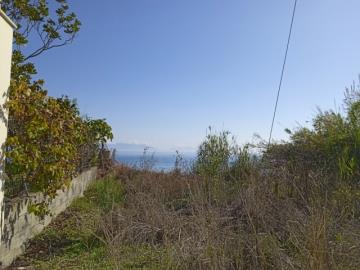 img_c7938270-135a-4dce-93f1-59d155c12c5a