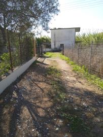 img_d0ba3fe1-8928-4a8a-926e-0e12e8552357