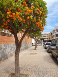 PHOTO-2025-09-16-16-48-32_1