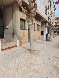 PHOTO-2025-09-16-16-48-32_4