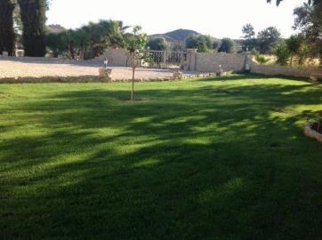 UNADJUSTEDNONRAW_thumb_4f4