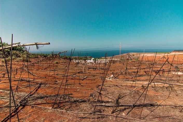 Image No.15-Plot for sale