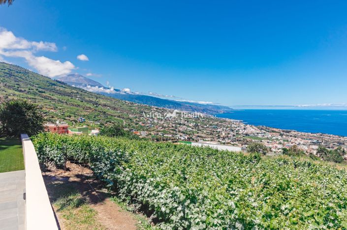 Image No.4-4 Bed Villa for sale