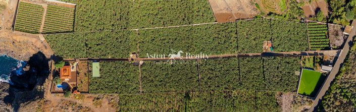 Image No.10-Villa de 6 chambres à vendre à Buenavista del Norte