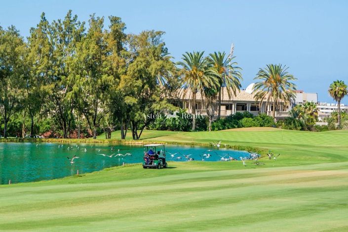 Image No.3-Villa de 6 chambres à vendre à Playa de las Americas