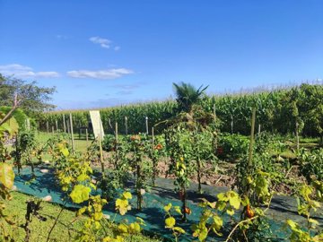 1e869d1c9a28381ec26fea2d8b5577070811911b60192