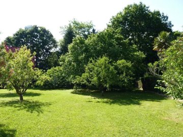 874c2cc536ba26a1f13d718b442fcc39729f60ad63120