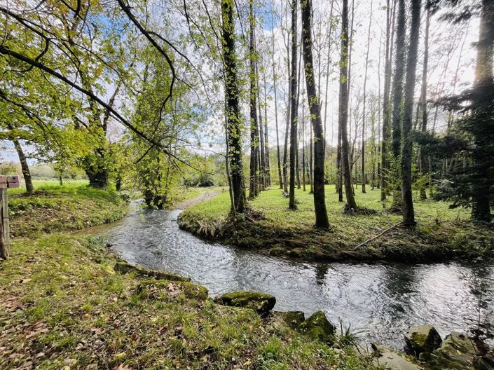 Image No.16-Maison de 4 chambres à vendre à Araujuzon