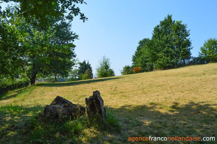 Image No.17-4 Bed House for sale