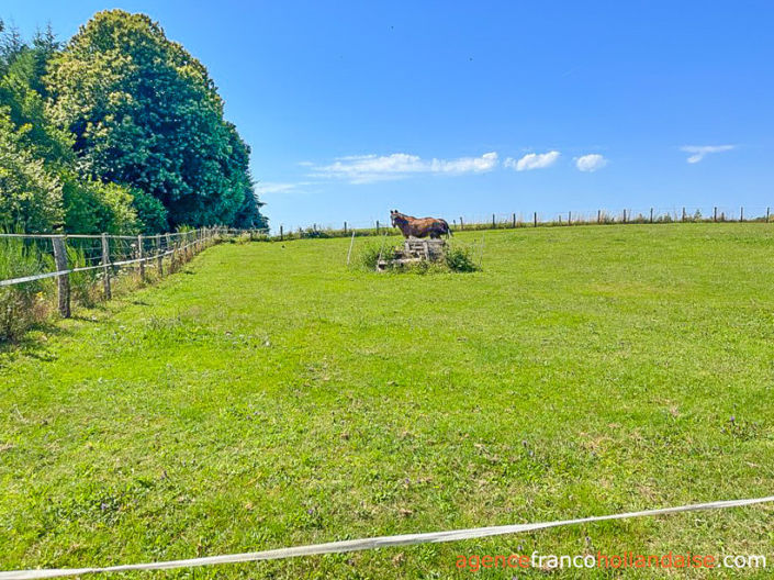 Image No.48-4 Bed House for sale