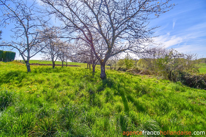 Image No.41-5 Bed House for sale