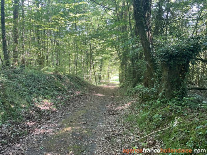 Image No.30-2 Bed House for sale