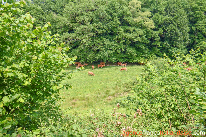 Image No.43-3 Bed House for sale